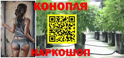 крисы Рязань