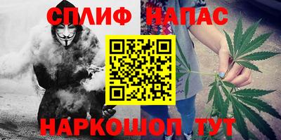 крисы Рязань