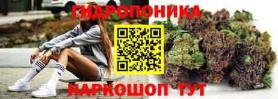 крисы Рязань