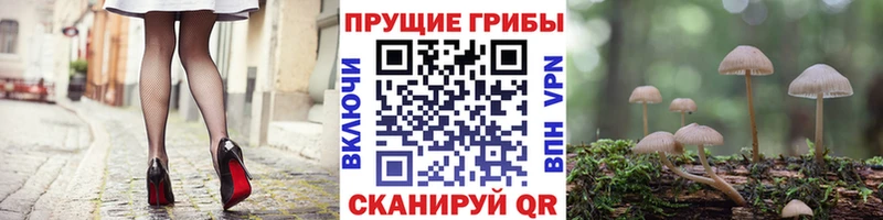как найти ссылка на мегу зеркало Галлюциногенные грибы Magic Shrooms Уссурийск